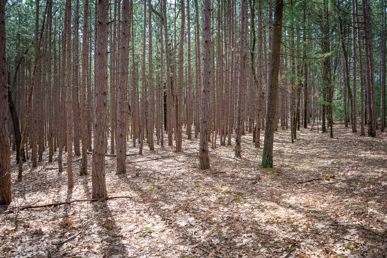 V/L Hyde Park Road, Whitehall, MI, 49461