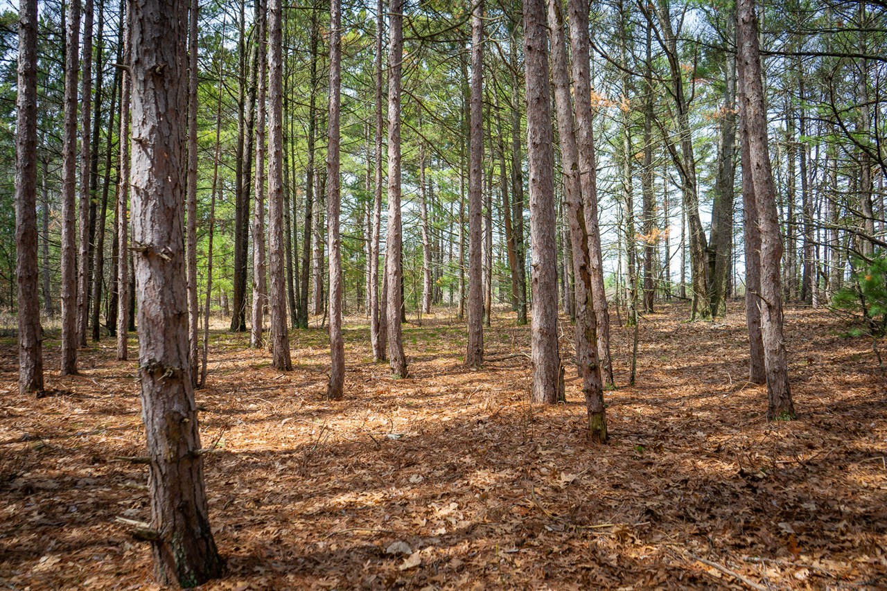 V/L Hyde Park Road, Whitehall, MI, 49461