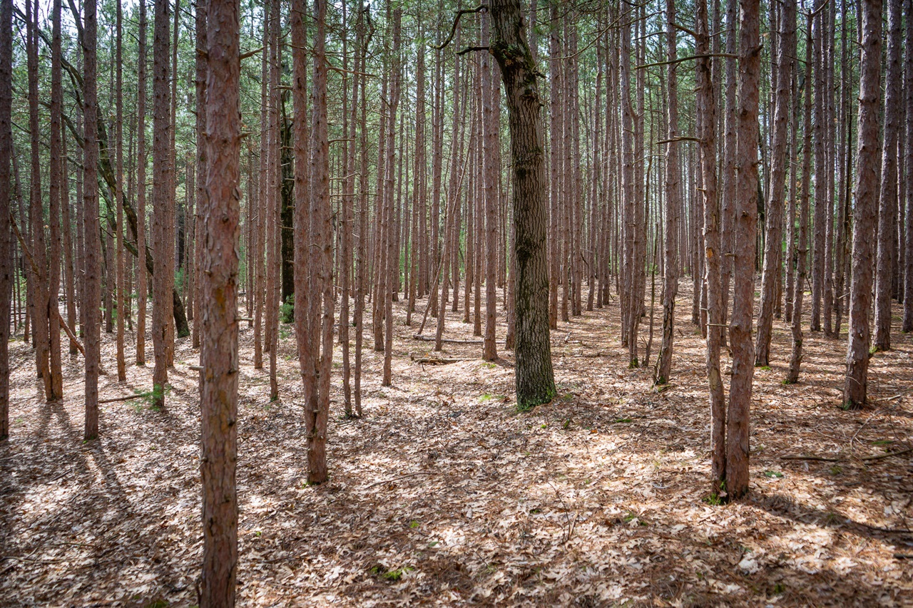 V/L Hyde Park Road, Whitehall, MI, 49461