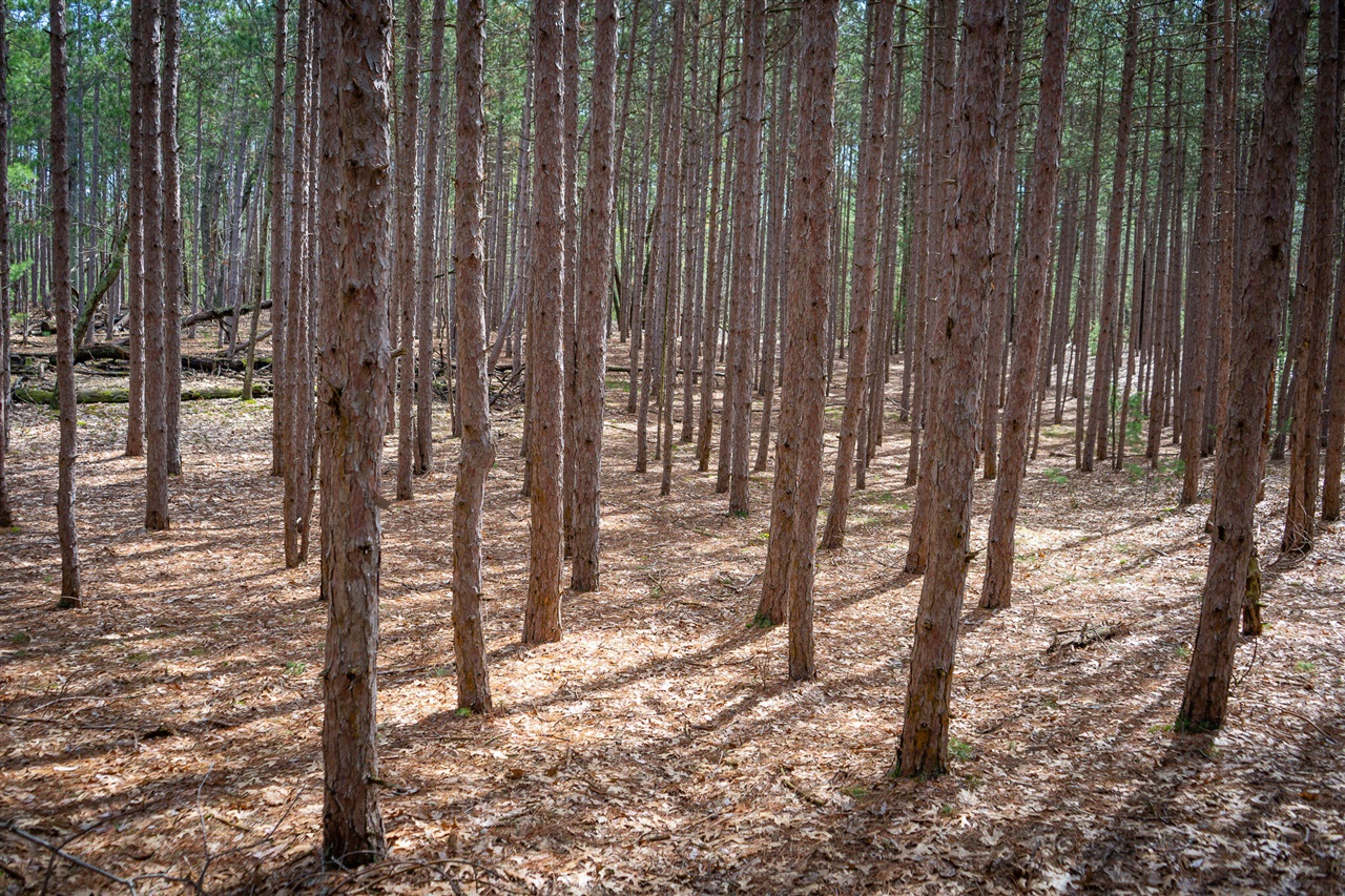 V/L Hyde Park Road, Whitehall, MI, 49461