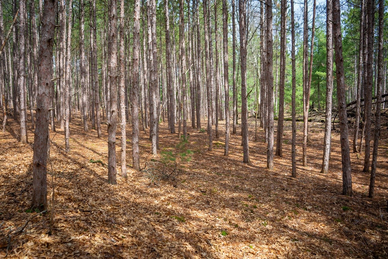 V/L Hyde Park Road, Whitehall, MI, 49461