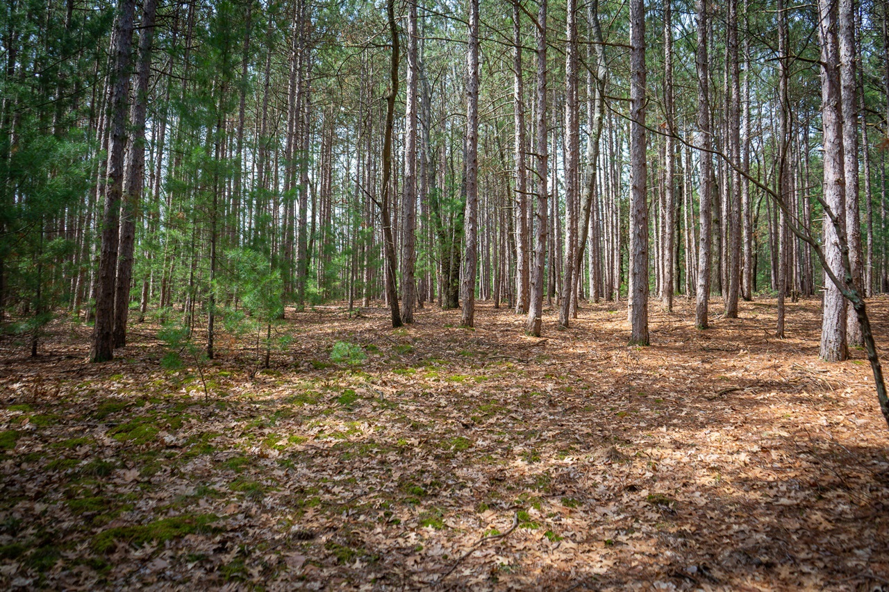 V/L Hyde Park Road, Whitehall, MI, 49461