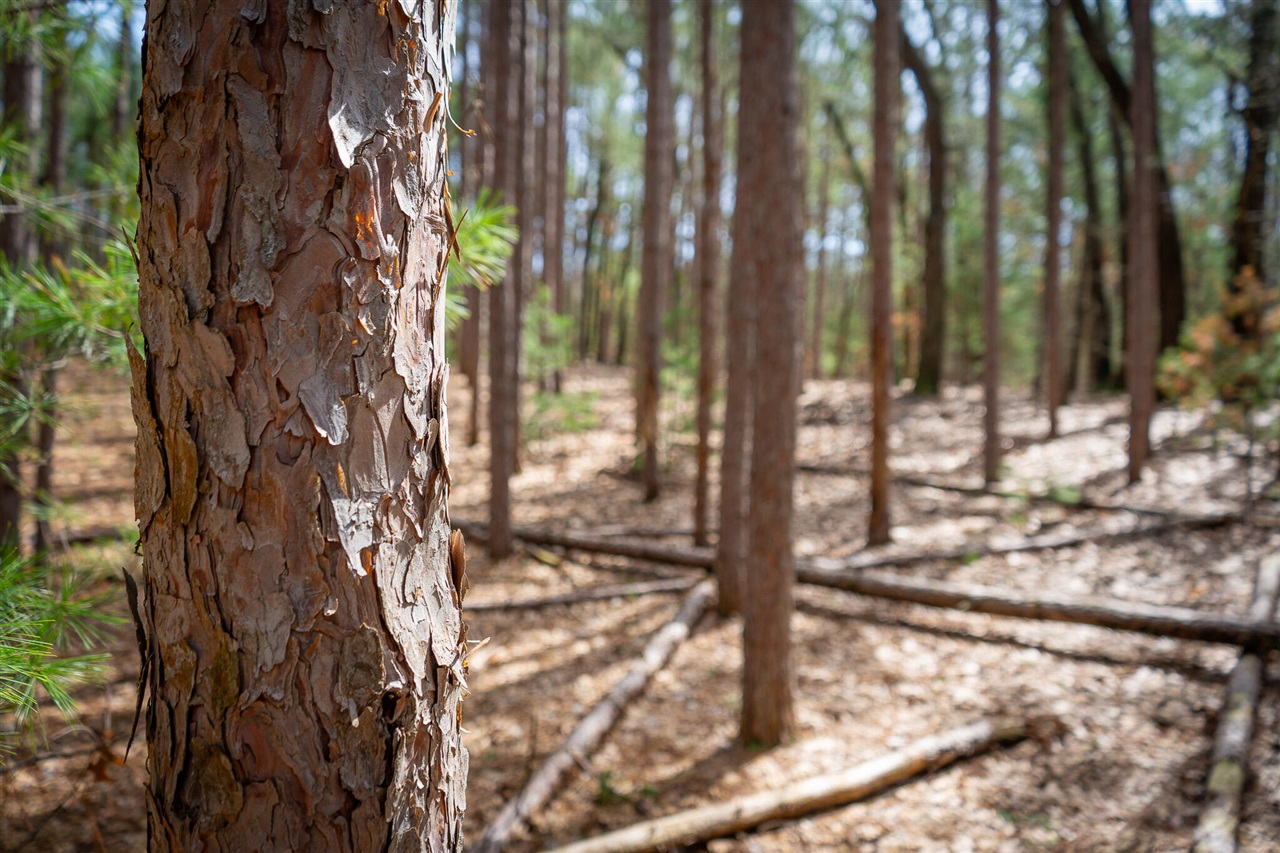 V/L Hyde Park Road, Whitehall, MI, 49461