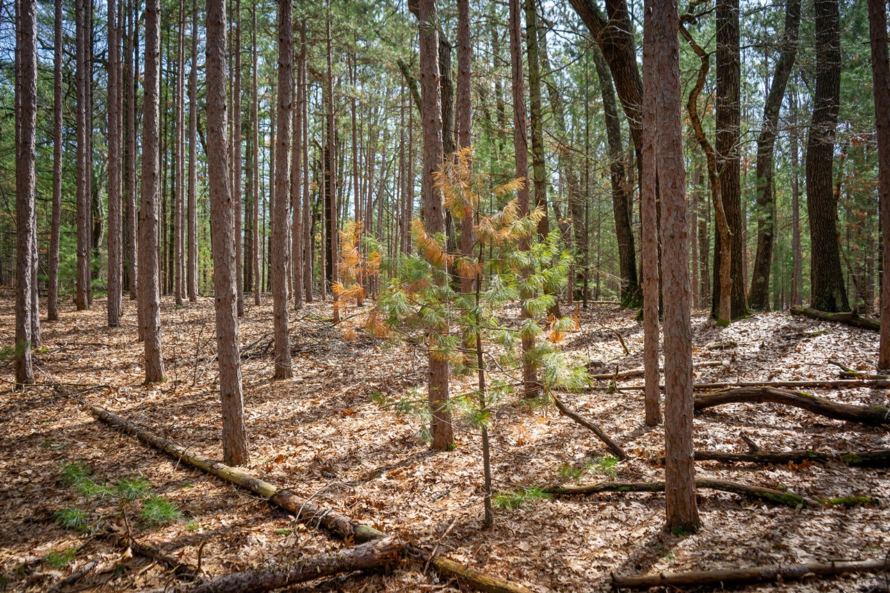 V/L Hyde Park Road, Whitehall, MI, 49461