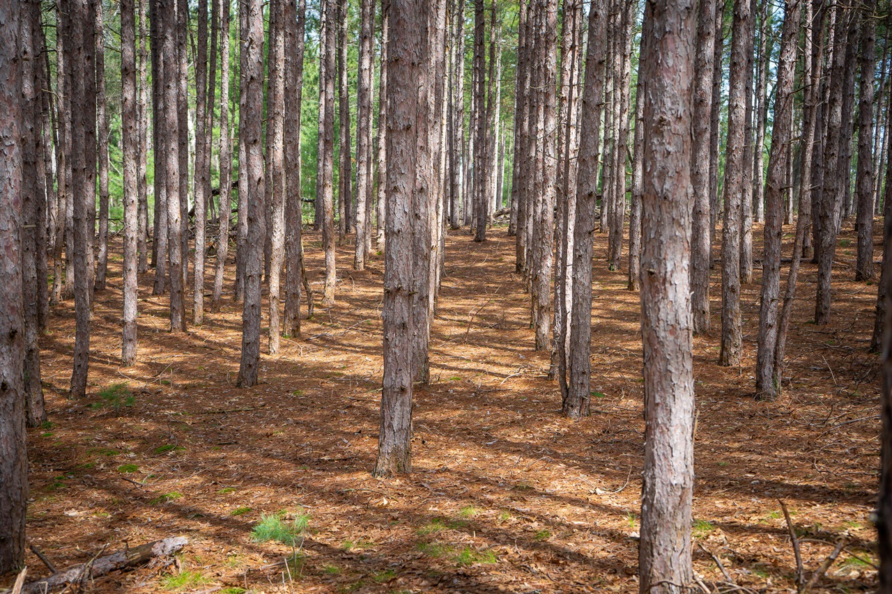 V/L Hyde Park Road, Whitehall, MI, 49461