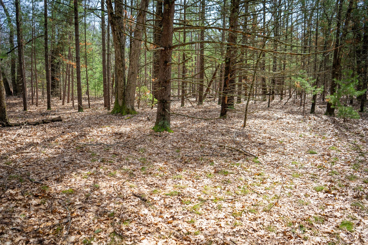 V/L Hyde Park Road, Whitehall, MI, 49461