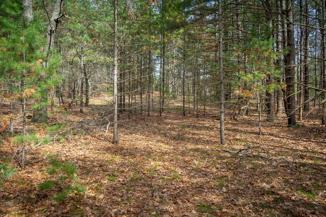 V/L Hyde Park Road, Whitehall, MI, 49461