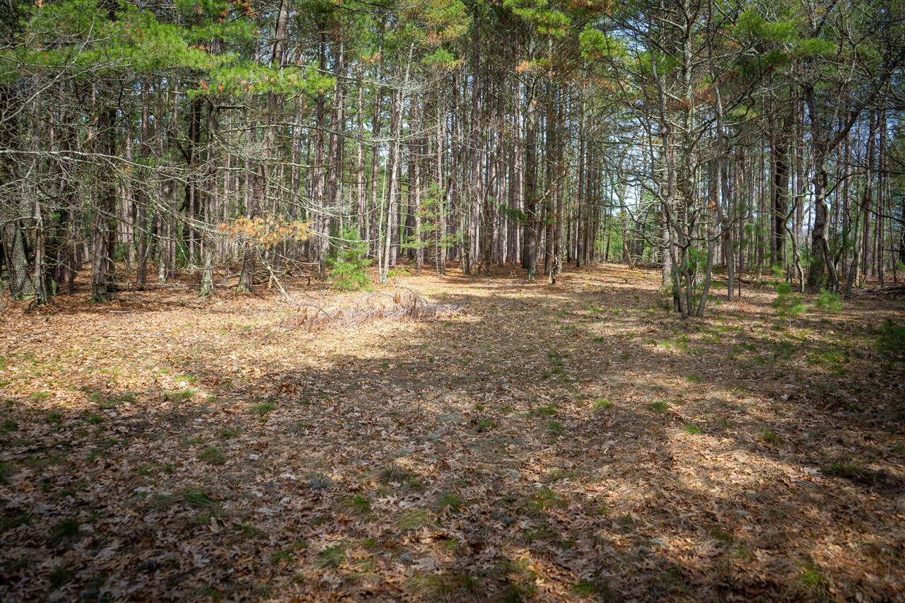 V/L Hyde Park Road, Whitehall, MI, 49461