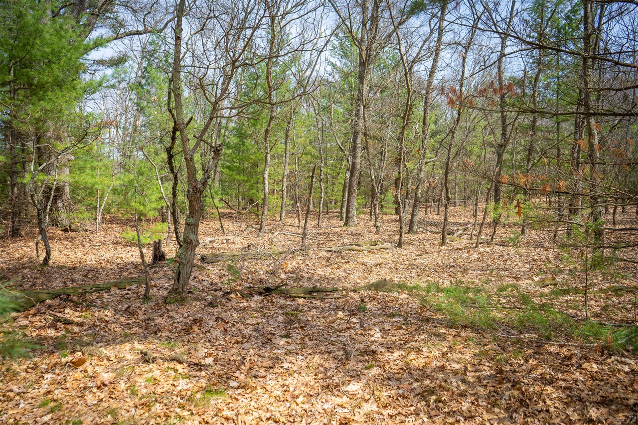 V/L Hyde Park Road, Whitehall, MI, 49461