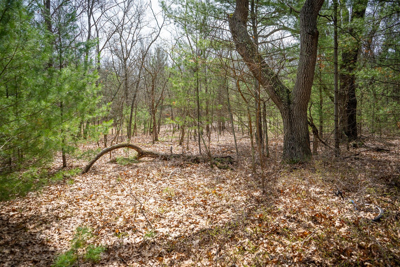 V/L Hyde Park Road, Whitehall, MI, 49461