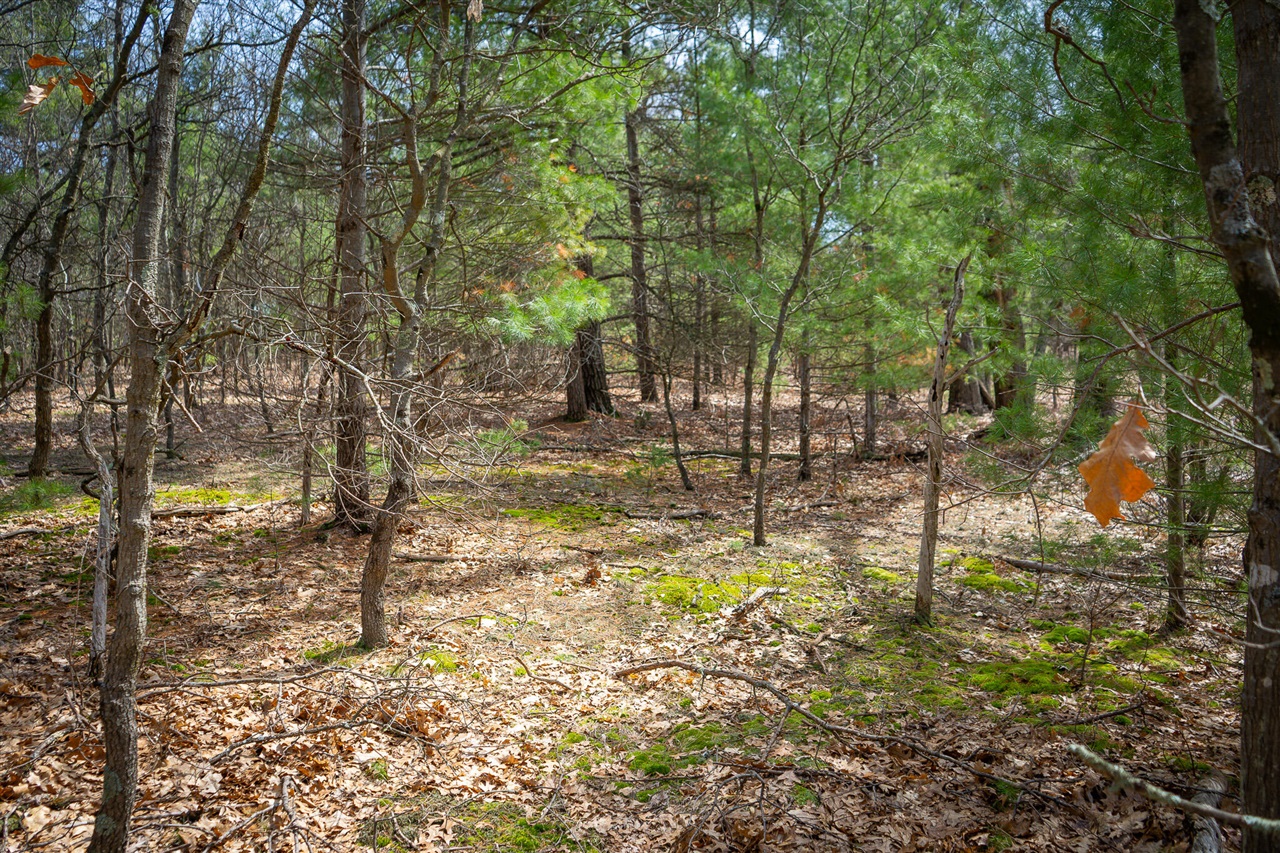 V/L Hyde Park Road, Whitehall, MI, 49461