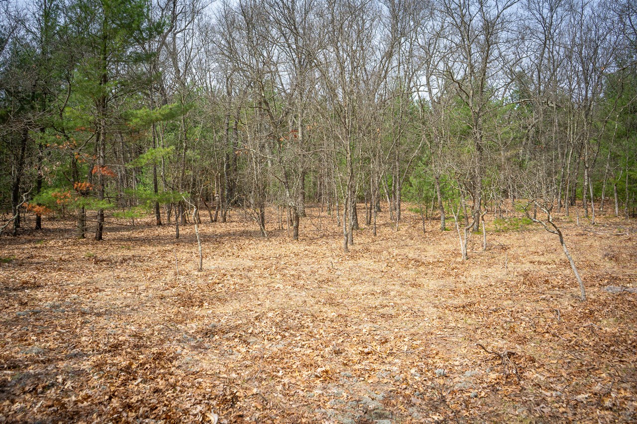 V/L Hyde Park Road, Whitehall, MI, 49461