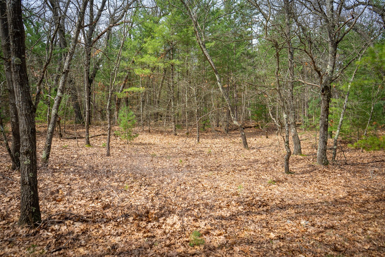 V/L Hyde Park Road, Whitehall, MI, 49461