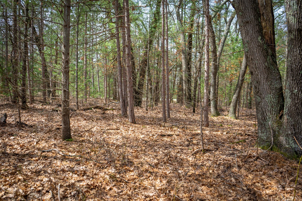 V/L Hyde Park Road, Whitehall, MI, 49461