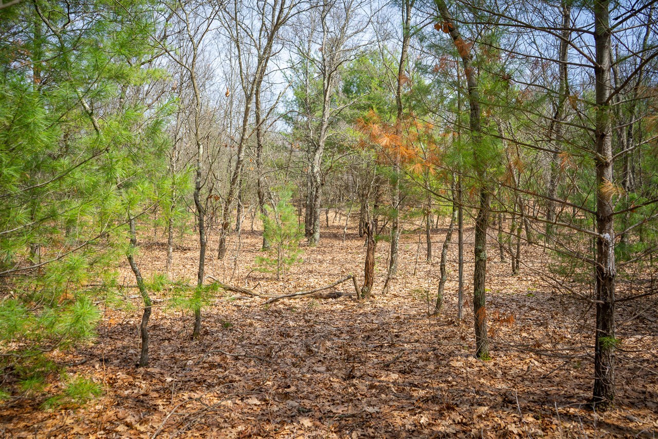 V/L Hyde Park Road, Whitehall, MI, 49461