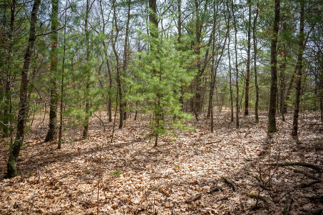 V/L Hyde Park Road, Whitehall, MI, 49461