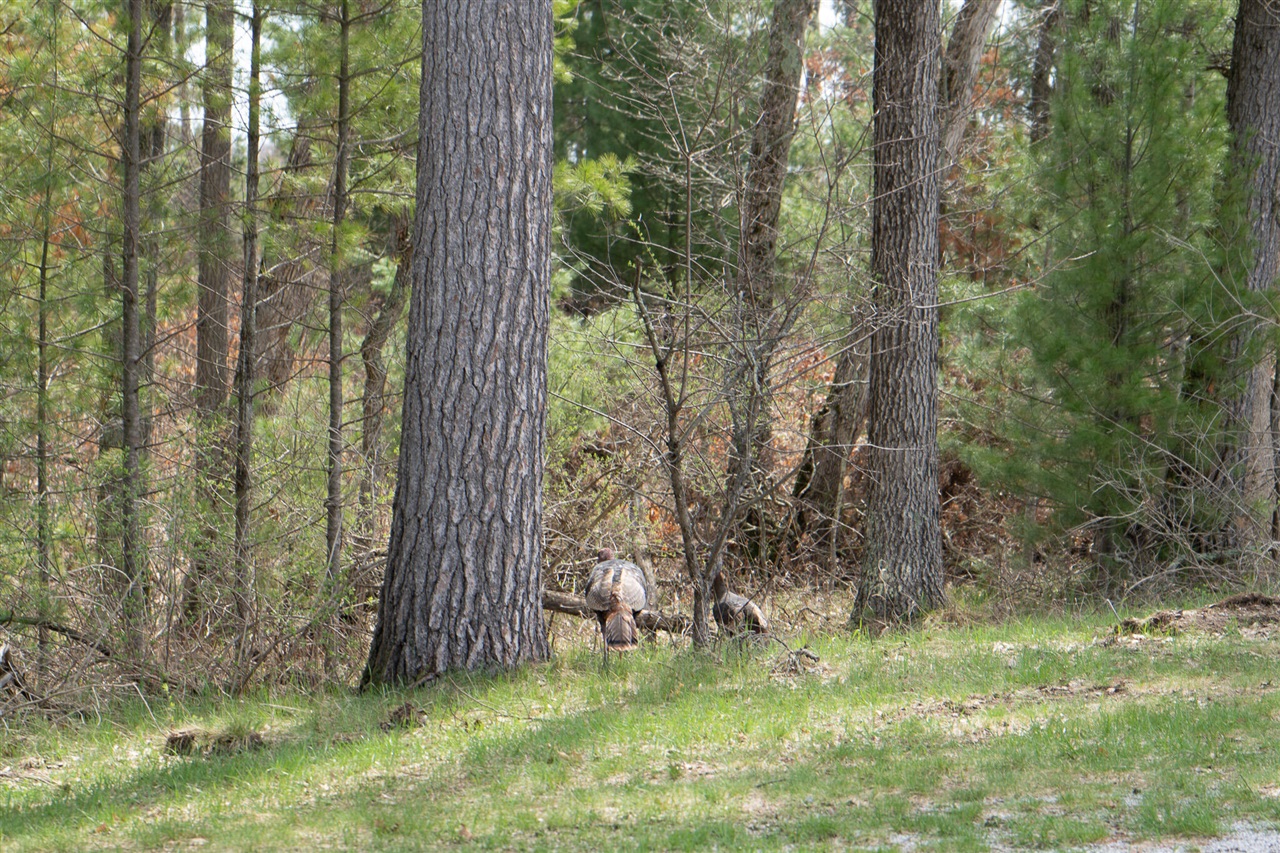 V/L Hyde Park Road, Whitehall, MI, 49461