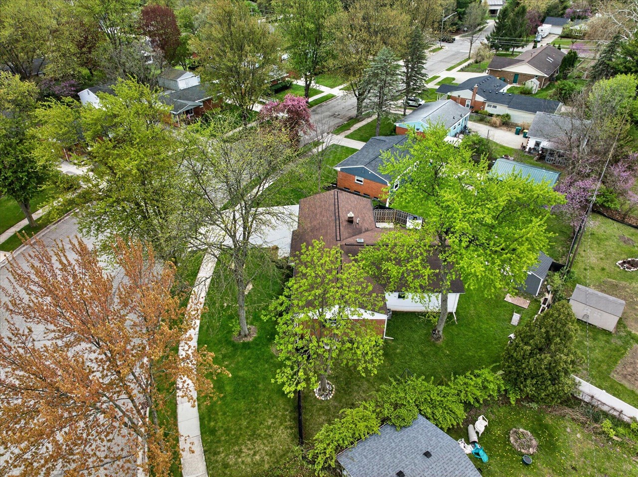 385 Hollywood Drive, Saline, MI, 48176-1109