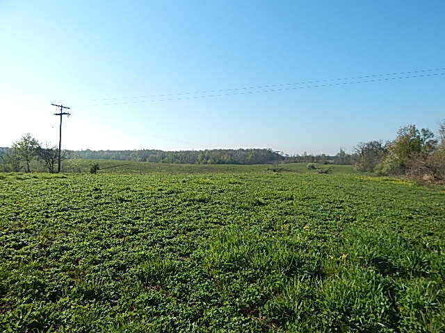8833 W Territorial Road, Camden, MI, 49232