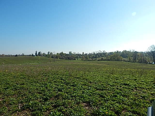 8833 W Territorial Road, Camden, MI, 49232