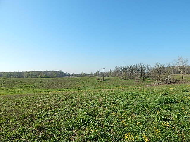 8833 W Territorial Road, Camden, MI, 49232