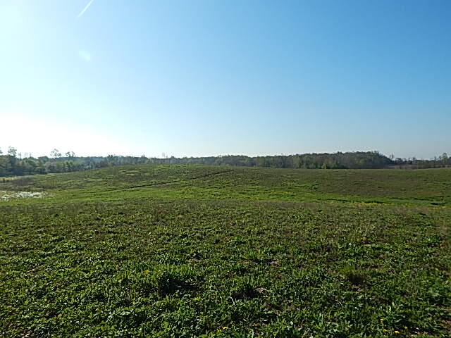 8833 W Territorial Road, Camden, MI, 49232