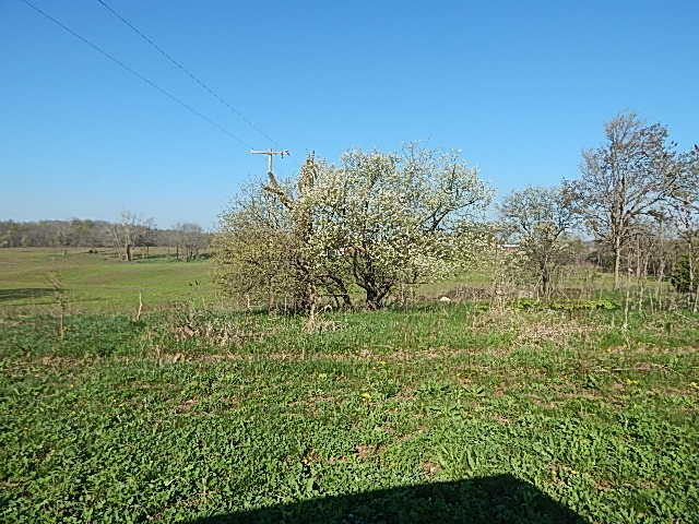 8833 W Territorial Road, Camden, MI, 49232