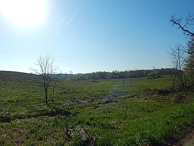8833 W Territorial Road, Camden, MI, 49232