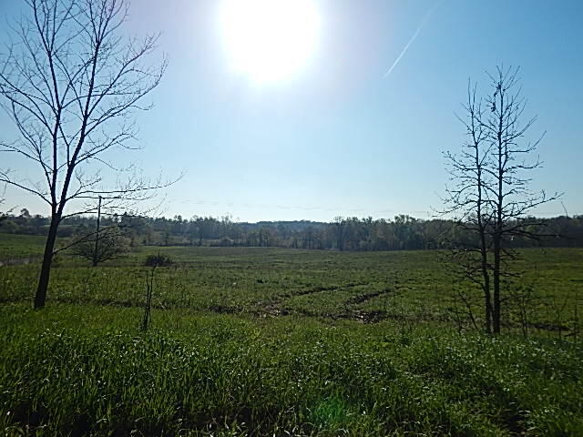 8833 W Territorial Road, Camden, MI, 49232