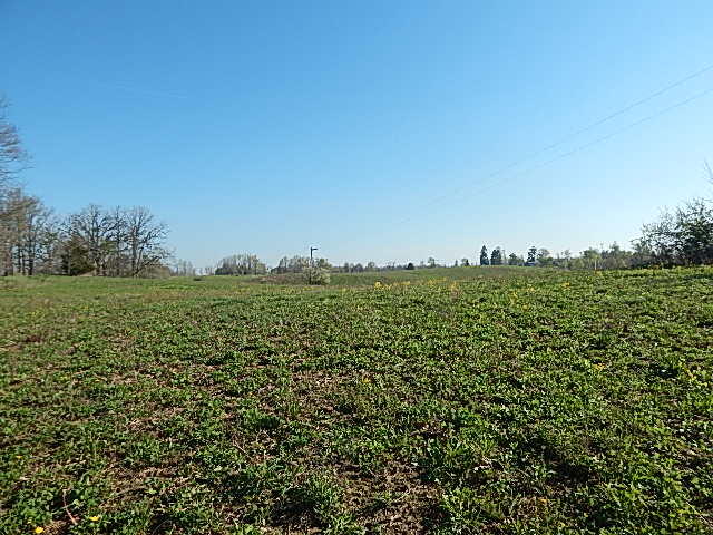 8833 W Territorial Road, Camden, MI, 49232