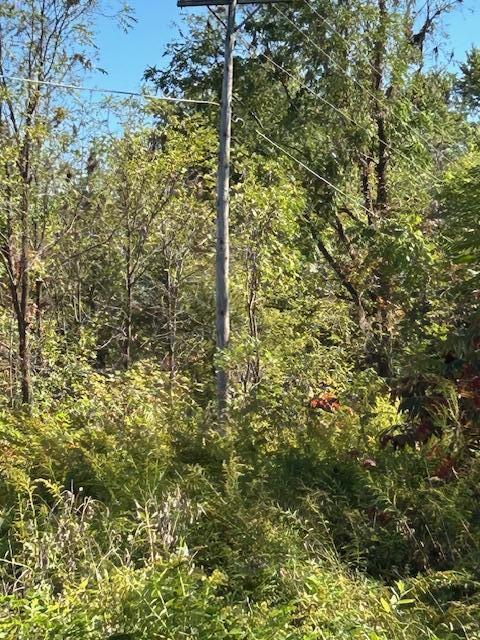 Megan Webster Featured Listings