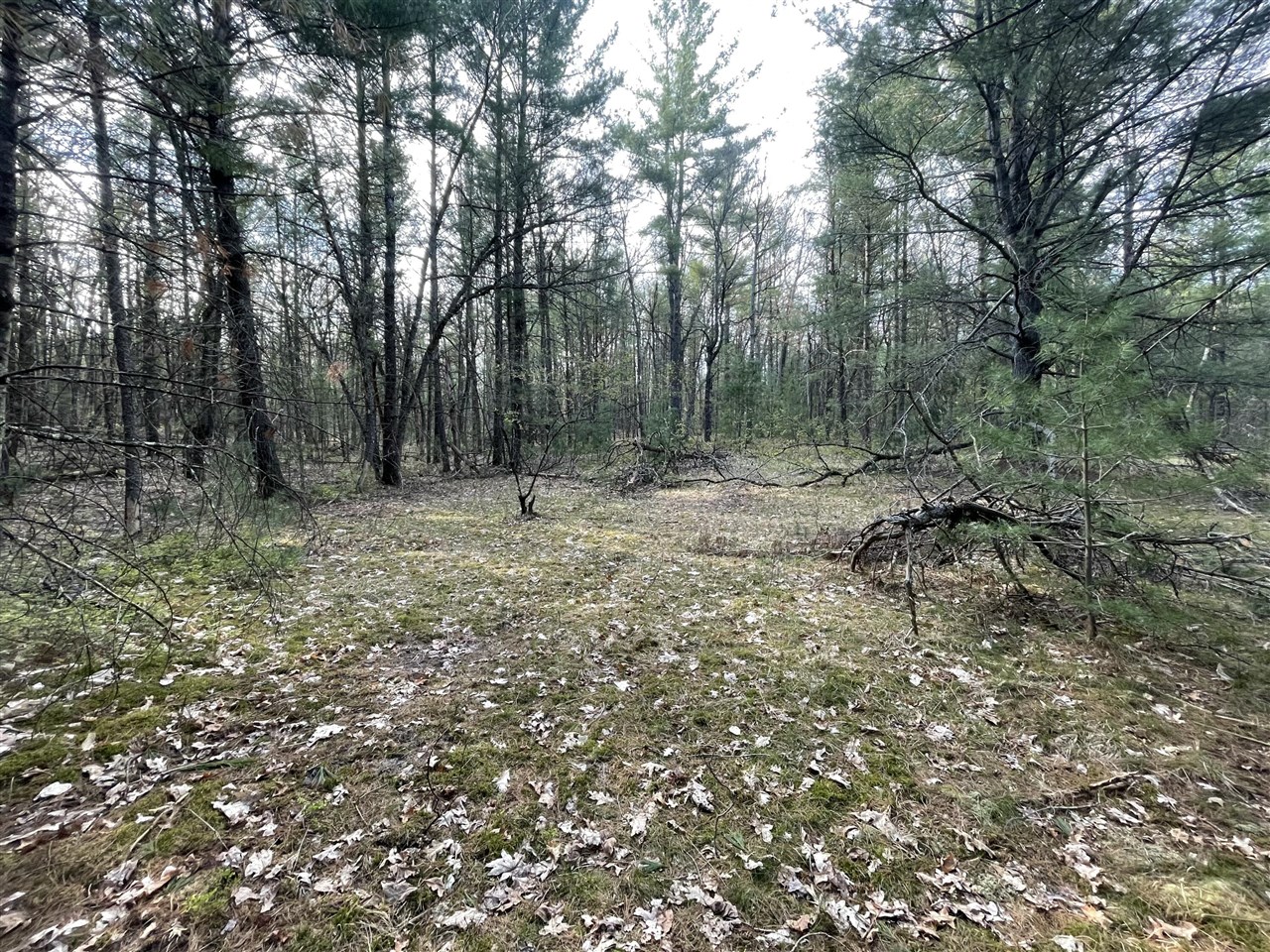 3rd image of V/L Benson Rd / Frd 5259, Free Soil, MI 49411 | MLS# 70528168