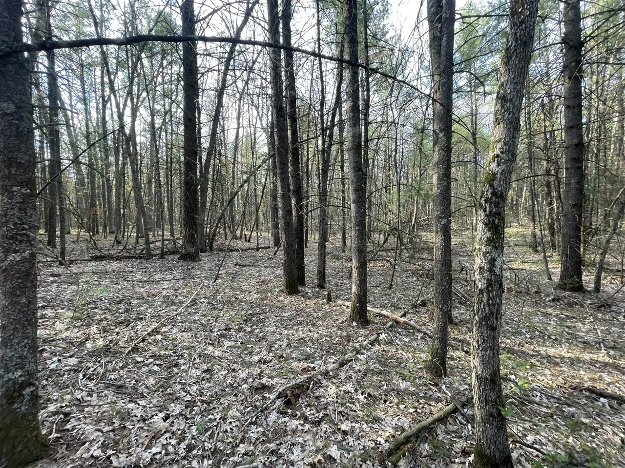 4th image of V/L Benson Rd / Frd 5259, Free Soil, MI 49411 | MLS# 70528168