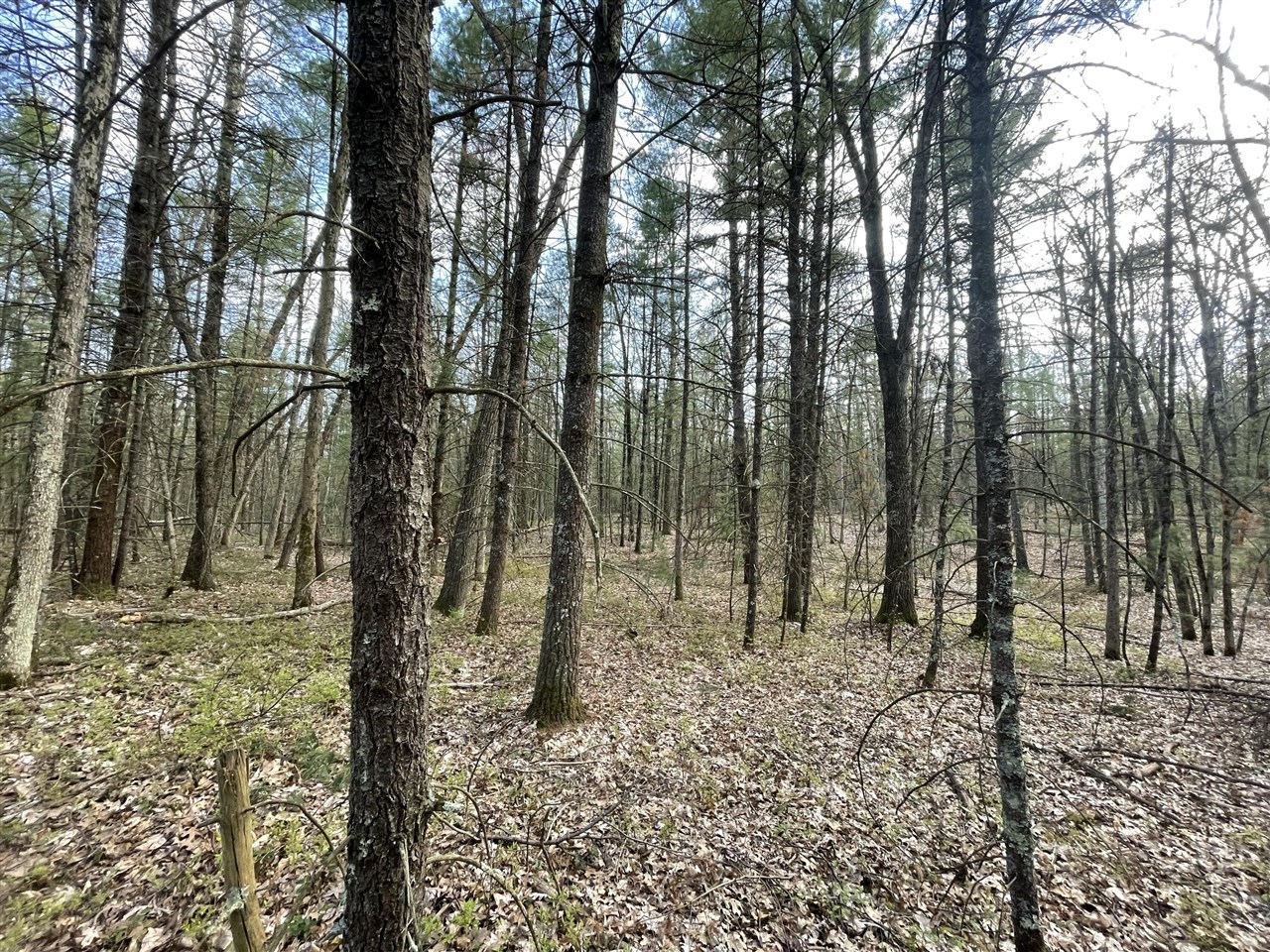 5th image of V/L Benson Rd / Frd 5259, Free Soil, MI 49411 | MLS# 70528168