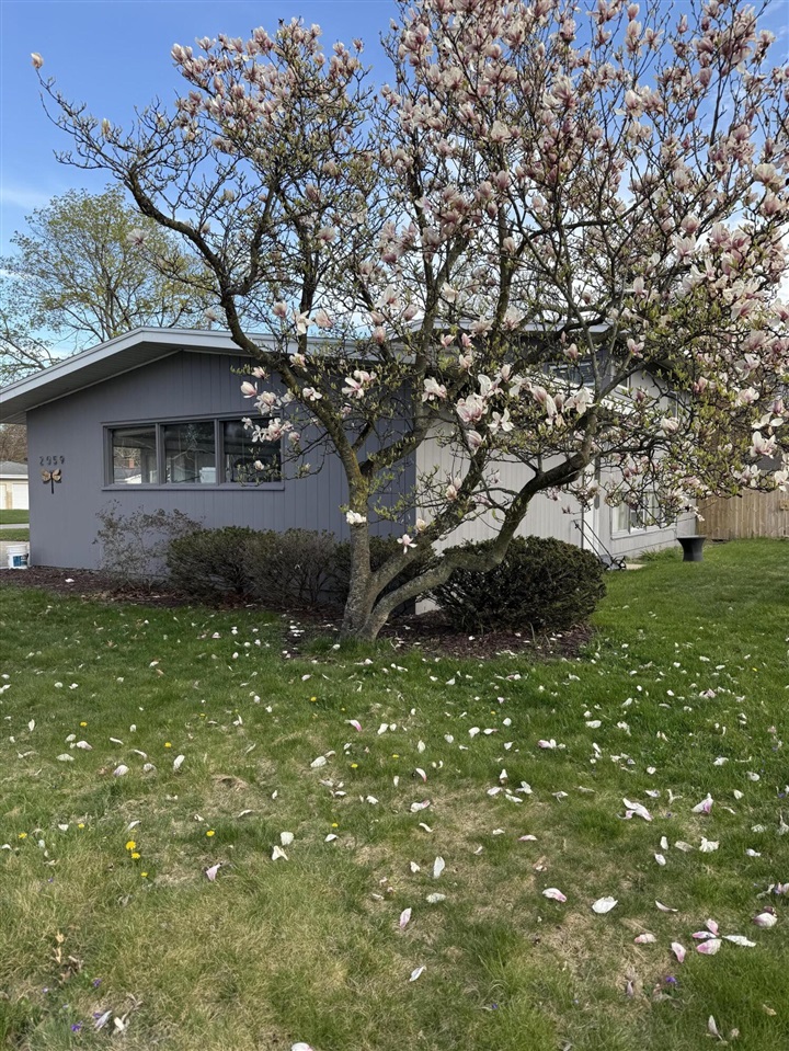 Megan Webster Featured Listings