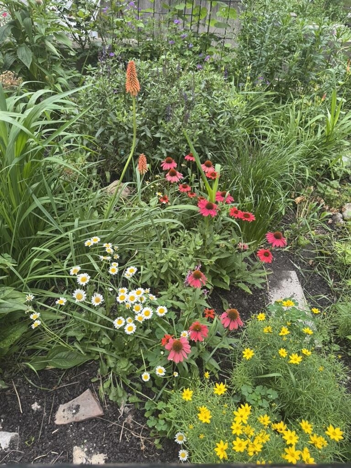 603 Madison Place, Ann Arbor, MI, 48103-4733