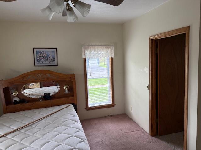 419 Sherman Avenue, Lakeview, MI, 48850-5009
