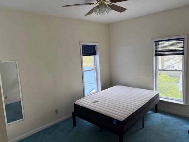 419 Sherman Avenue, Lakeview, MI, 48850-5009