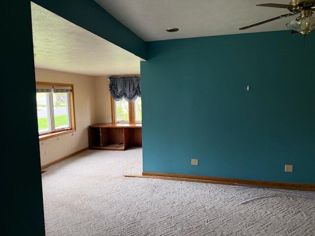 419 Sherman Avenue, Lakeview, MI, 48850-5009