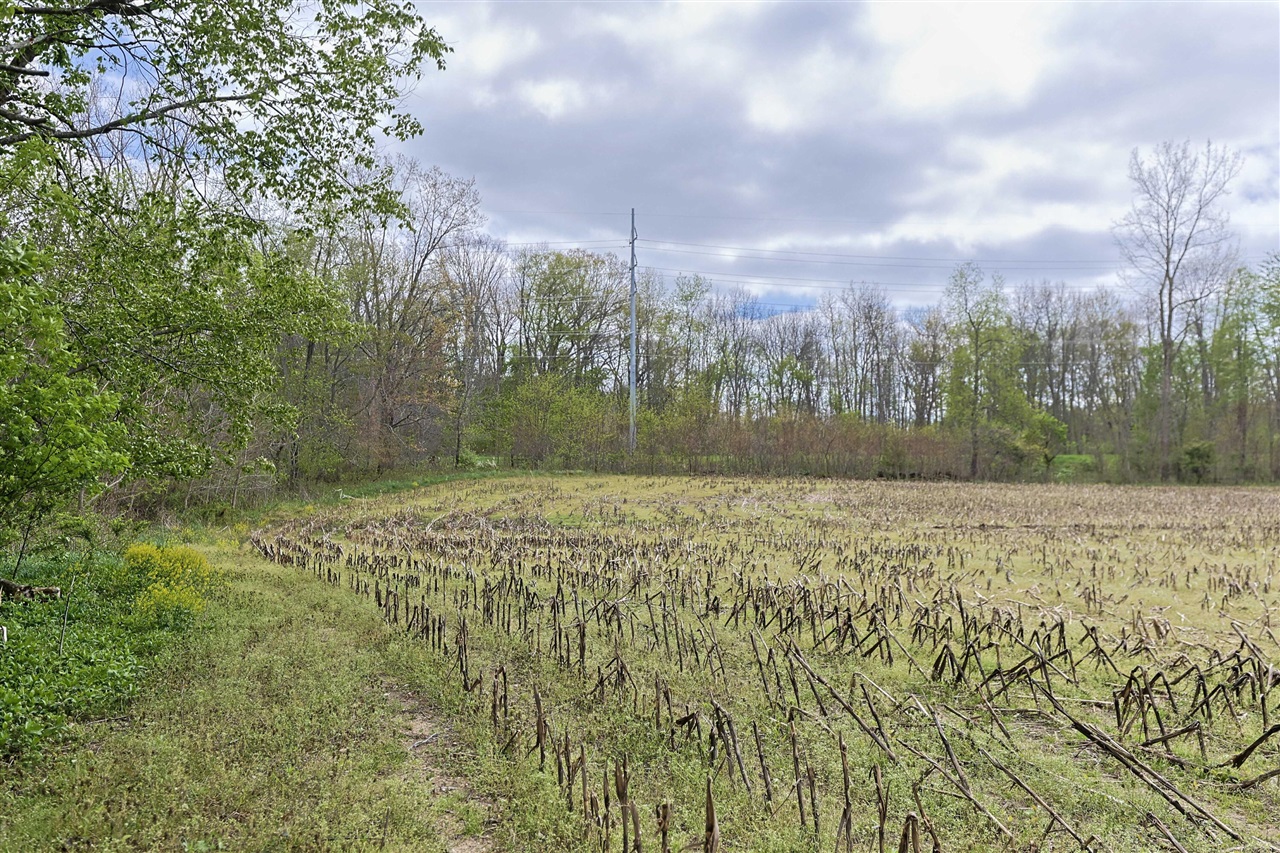 0 V/L White Street, Cassopolis, MI, 49031-8803