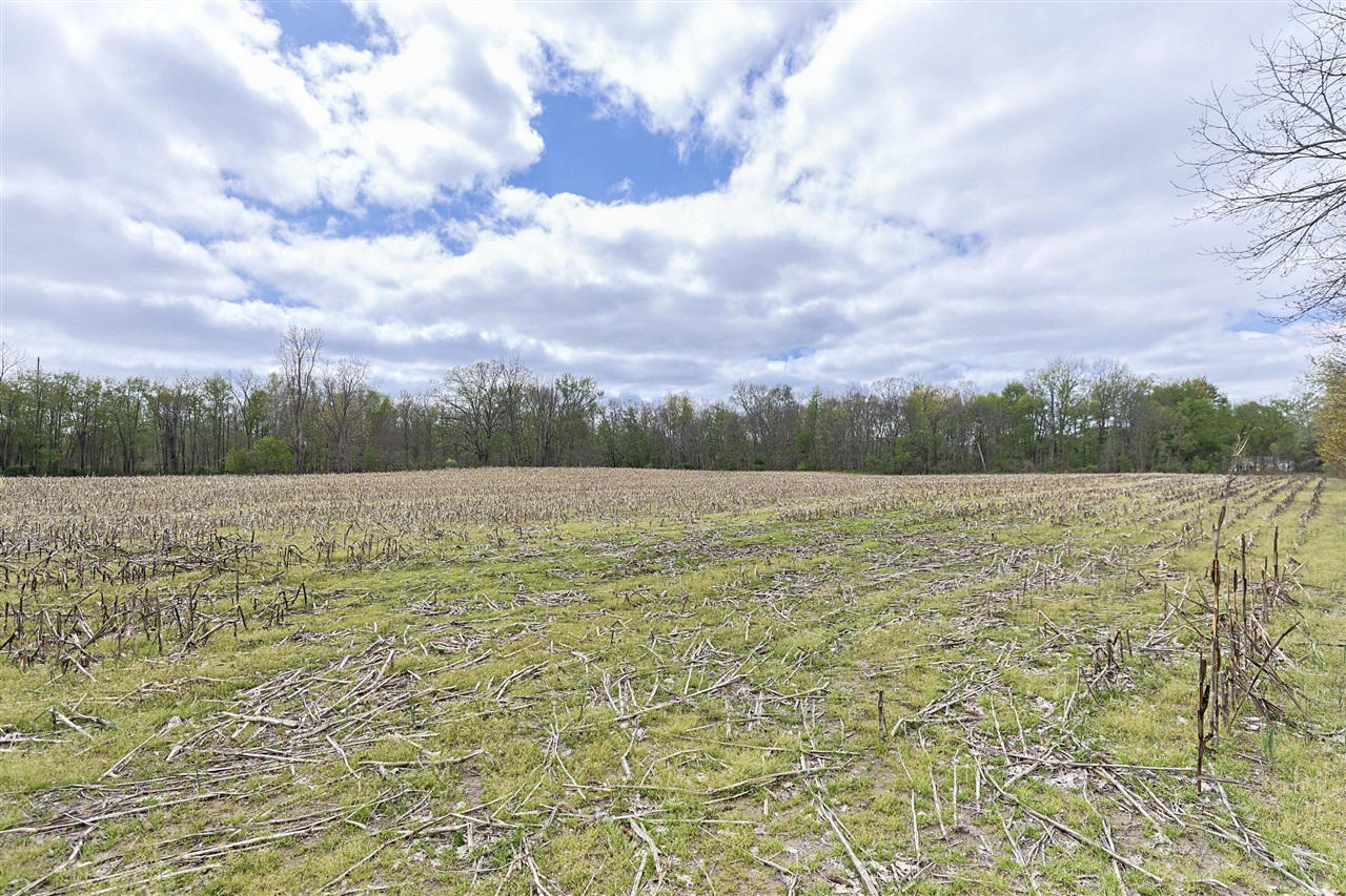 0 V/L White Street, Cassopolis, MI, 49031-8803