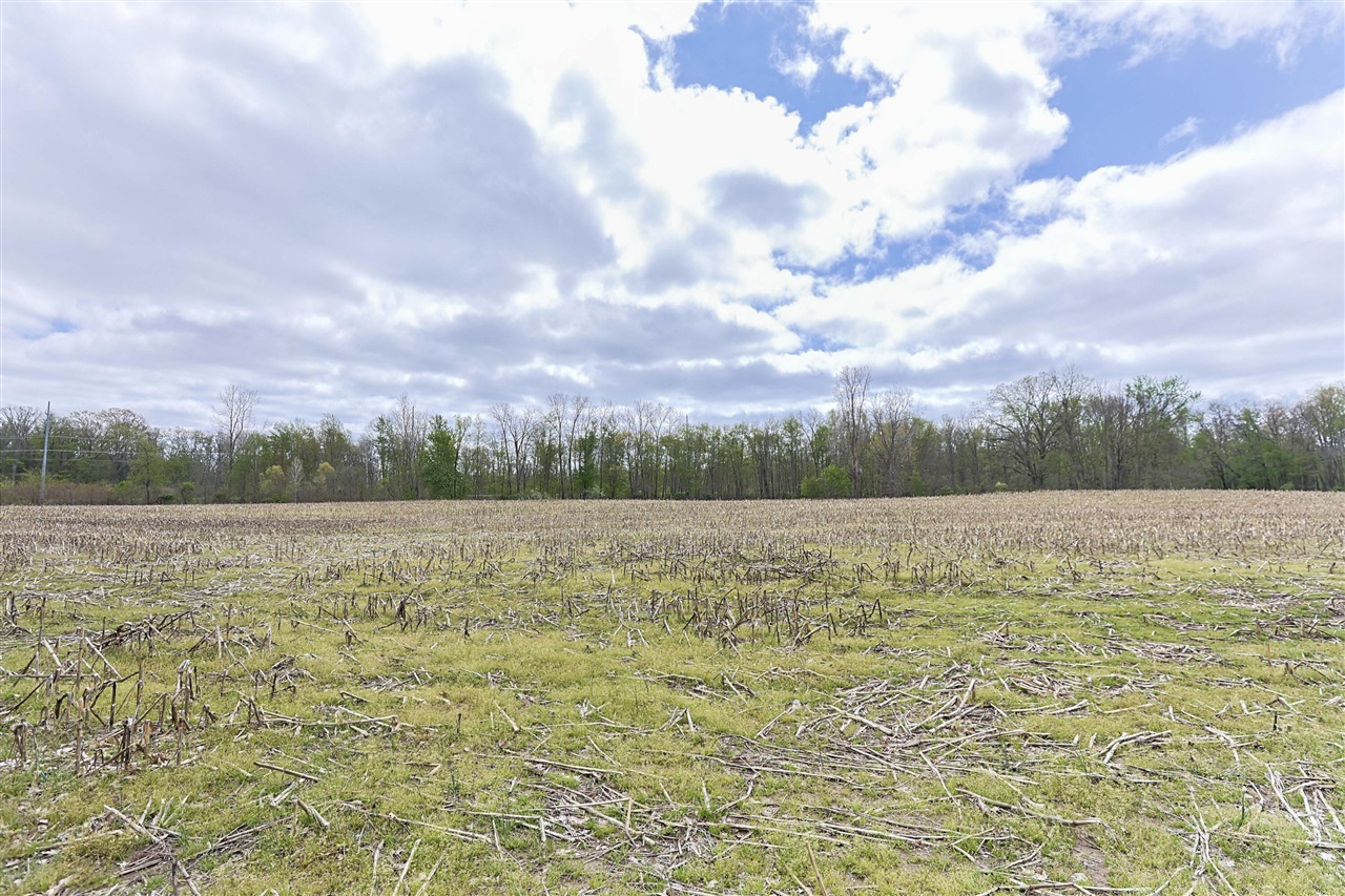 0 V/L White Street, Cassopolis, MI, 49031-8803