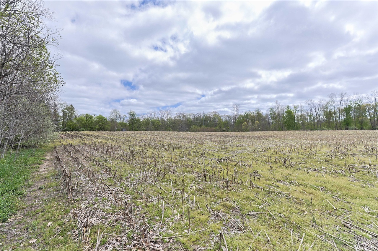 0 V/L White Street, Cassopolis, MI, 49031-8803