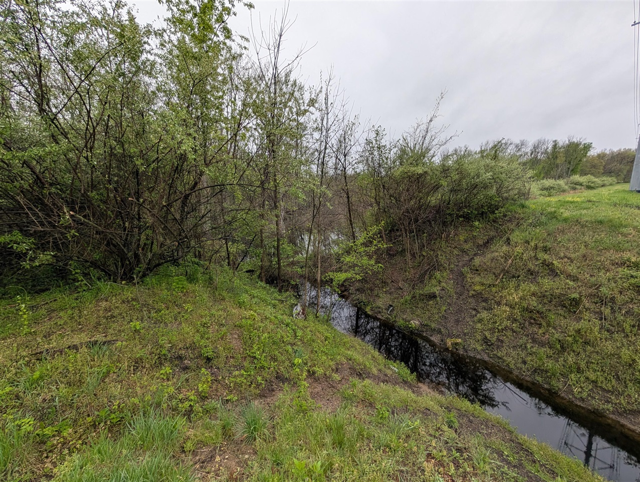 0 V/L White Street, Cassopolis, MI, 49031-8803