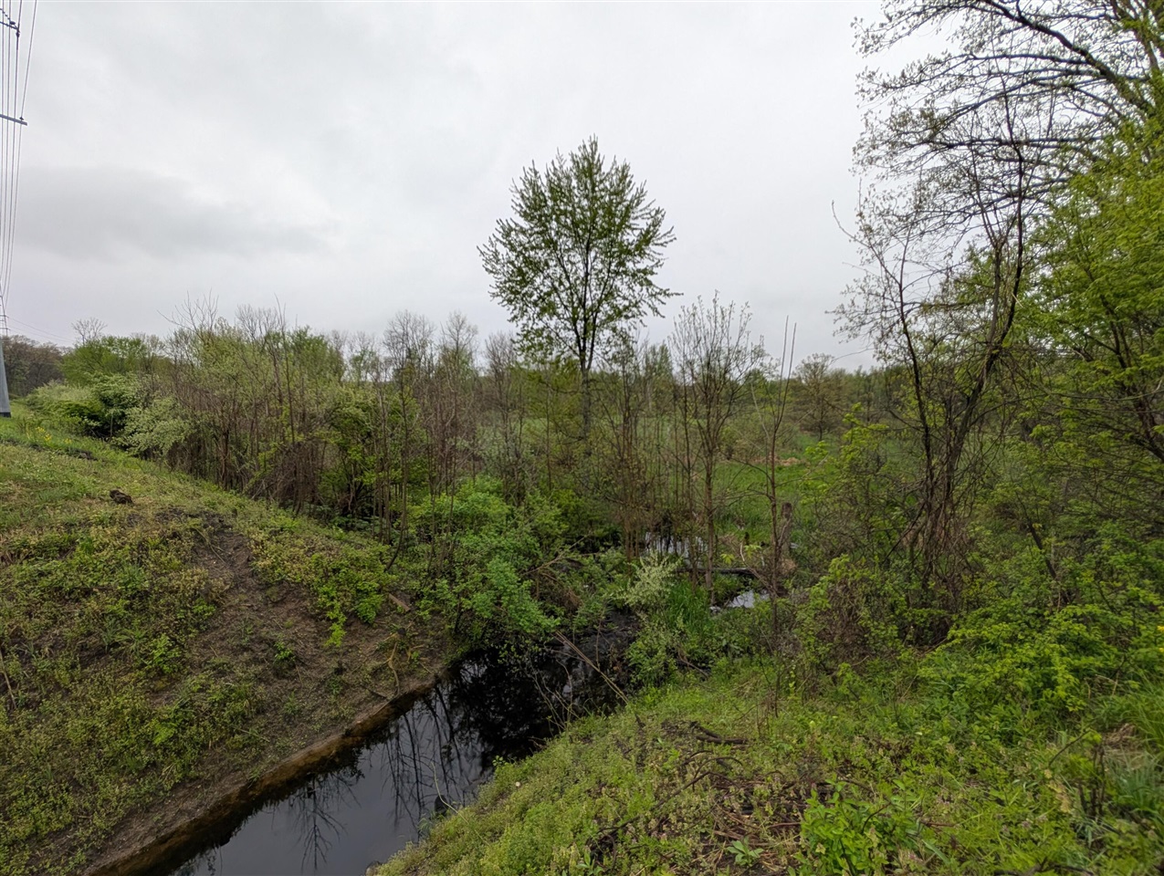 0 V/L White Street, Cassopolis, MI, 49031-8803
