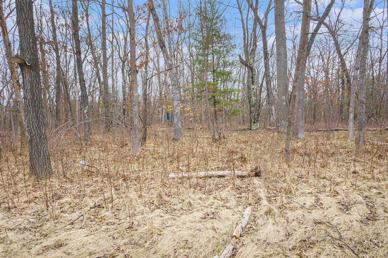V/L N Woodbridge Road, Bitely, MI, 49309