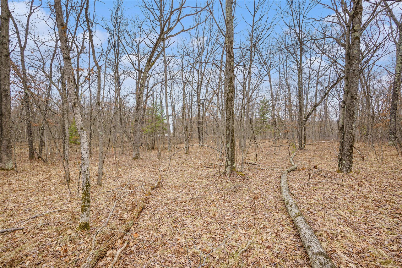V/L N Woodbridge Road, Bitely, MI, 49309