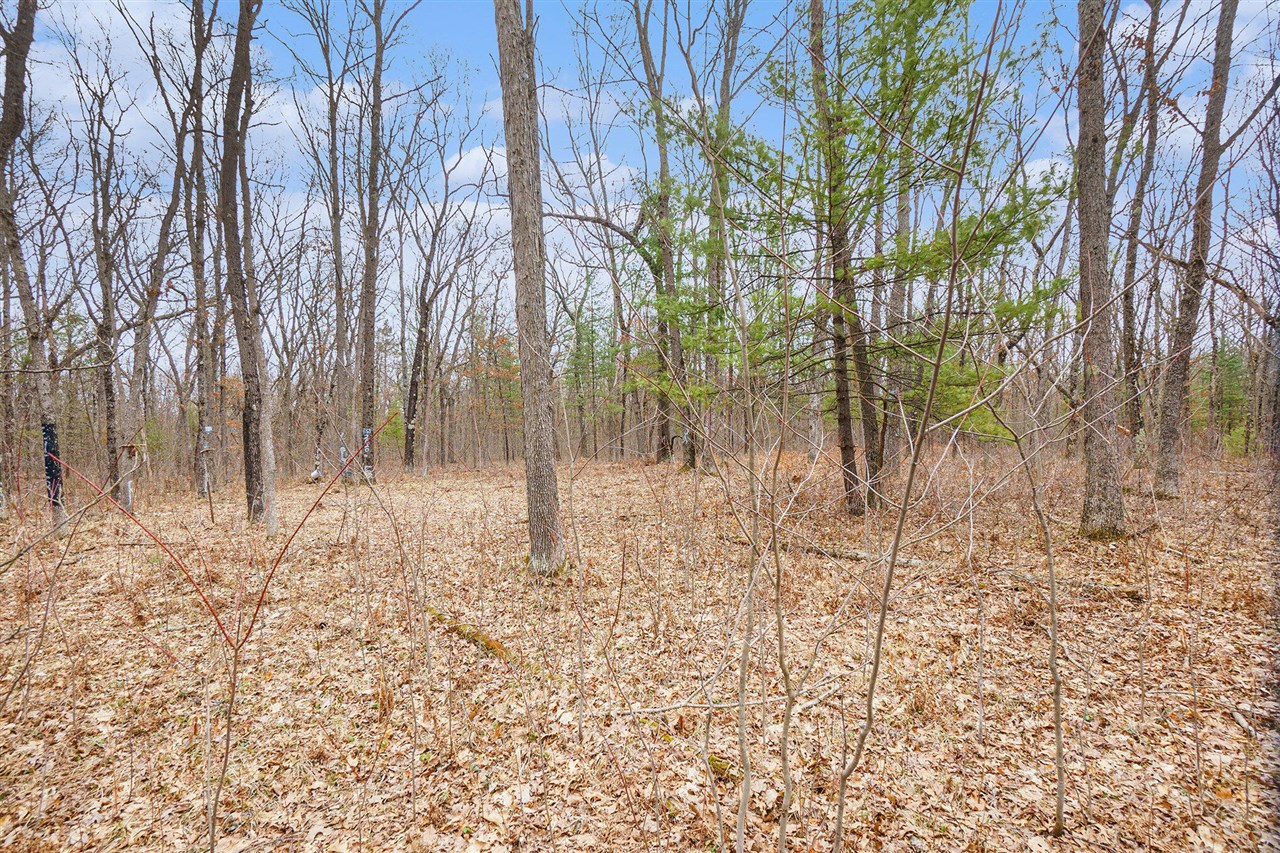 V/L N Woodbridge Road, Bitely, MI, 49309