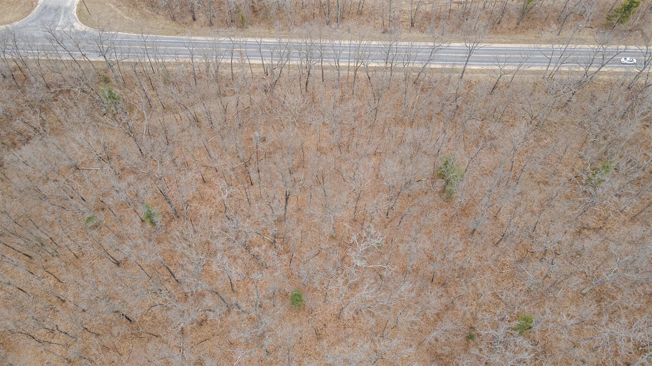 V/L N Woodbridge Road, Bitely, MI, 49309