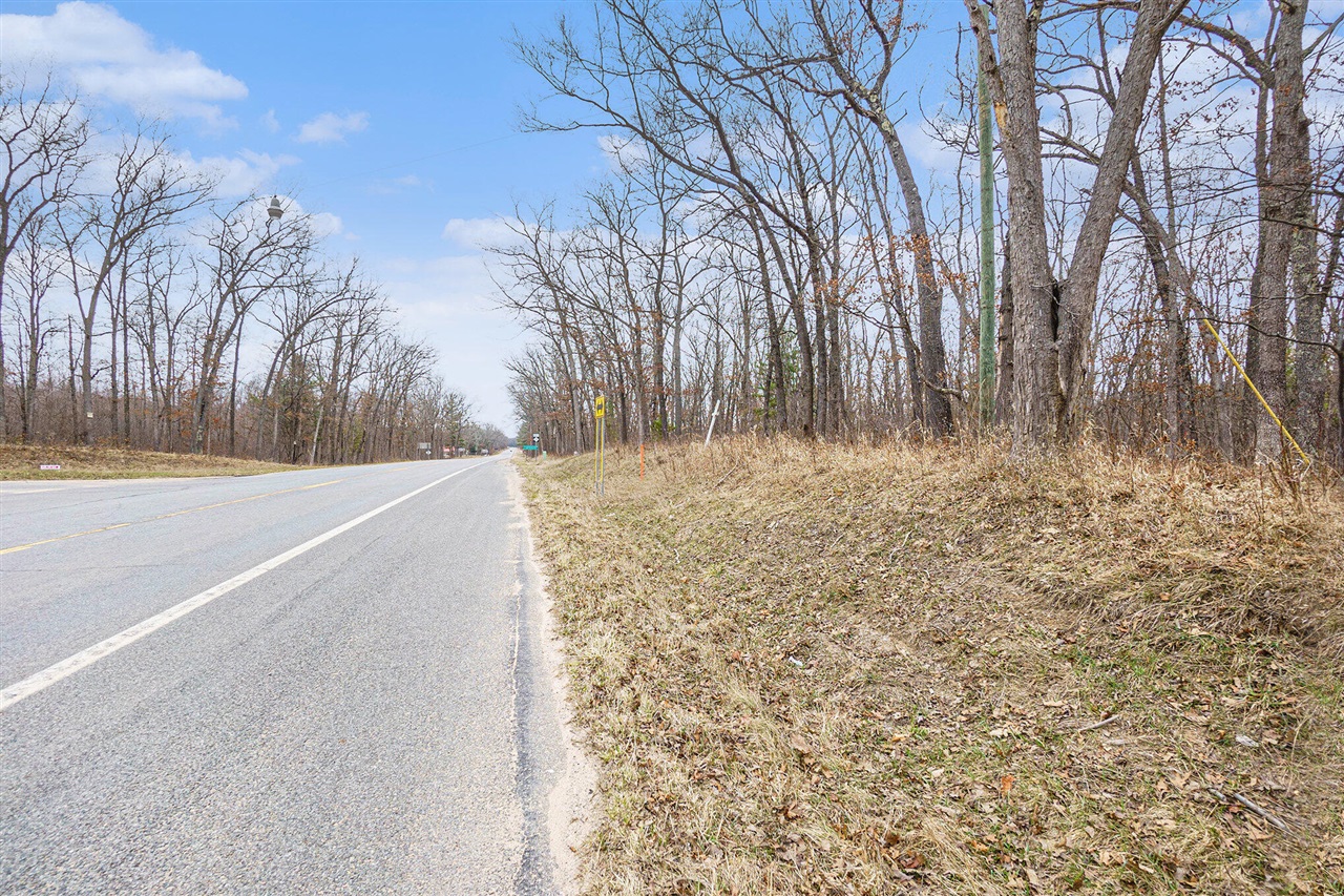 V/L N Woodbridge Road, Bitely, MI, 49309